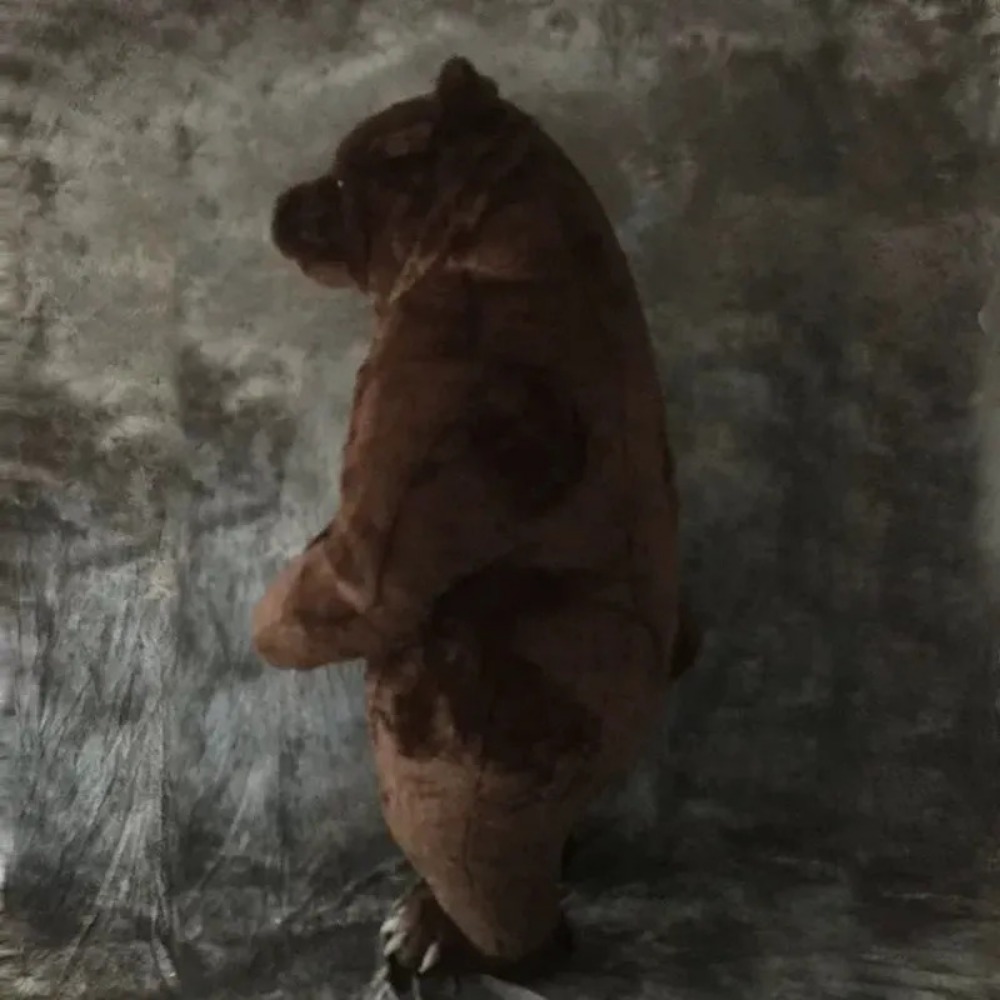 空気で膨らませるタイプの茶色いクマの着ぐるみ。大人用。ハロウ - Halloween Costume Adult のレビューと価格